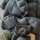 모아세탁박사 이미지