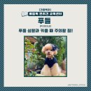 아이큐교육센터 이미지
