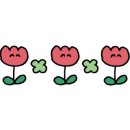 엔틱보꼬