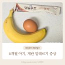이샘별소아과 | 6개월 아기 삶은 계란 알레르기 증상 반응 병원