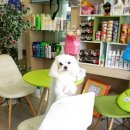 장산동물병원 이미지