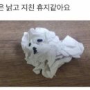 뭉이네 짚불구이 이미지