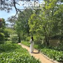 용인 실내데이트 가볼만한곳 피크닉하기 좋은 호암미술관, 오디오가이드 주차