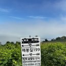 매봉길199민박 이미지