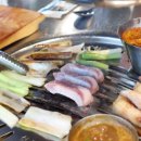 돈가대표