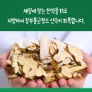 동일한의원 네이버블로그