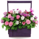 염창중학교 이미지