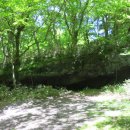 한라산둘레길 천아숲길 이미지