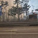 인제14-1 이미지