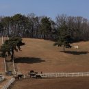 덕양목장2 이미지