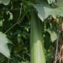 자글자글 이미지