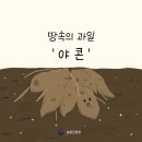 아사삭과일 - 남해군 망운로 60 | 아사삭과일
