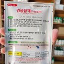 한농종묘사 이미지