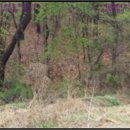 둑실 경로당 이미지