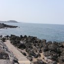 올랭이와물꾸럭구제주점 이미지