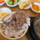 바오밥나무 | 대전 궁동 맛집 혼밥인의 성지 바오밥나무 가정식백반 내돈내산 솔직후기