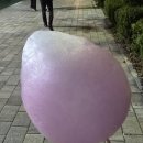 백년대로 323번길 이미지