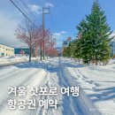 311 | 겨울 삿포로 항공권 예약, 부산 진에어 왕복 탑승 후기 LJ311