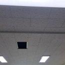 동백초등학교 이미지