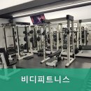 비디피트 이미지