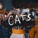 Memory &#39;Cats&#39; (violin,cello&amp;piano) 이미지