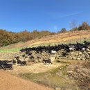 해보라농장 이미지