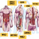 근육다짐 이미지