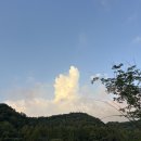쩌리에서 따봉구름 보고 내가 얼마나 주식에 도라벌엿는지 깨달음.. 이미지