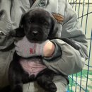 올림푸스원 이미지