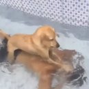 수원호스텔(SUWON HOSTEL) | 2025 요르단 7박9일 - Day2(1)