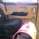 펫택시 타시개 이미지