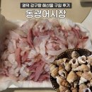동광모텔 | 영덕 강구항 동광어시장 모둠 회 소라 구입 내돈내산 후기