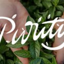 추구농장 이미지