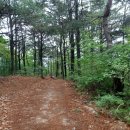 유성궁도장 이미지