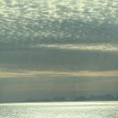 비응남로 이미지