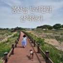 리틀그리너스