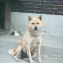 무지개카페 - 세종특별자치시 죽림로 25 | 무지개카페