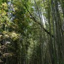 금성어린이공원 이미지