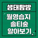 🌳 월영습지 - 솔티숲, 정읍에서 만나는 람사르 생태 트레킹