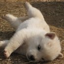 바다소식 이미지