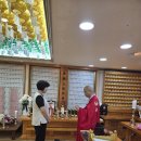 『6월, 이 달의 정진상』 자운화 법우님 축하드립니다. 이미지