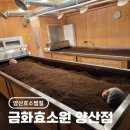 금화에너지 | [양산효소찜질] 땀샘 폭발 금화효소원에서 다이어트에 좋은 효소찜질 효과