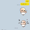 고양이 무마취미용 고미고미 화명점 이미지