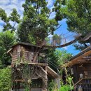 어린이마음 이미지