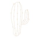 cactus handdrawn plant 이미지