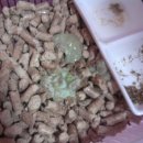 회원종합동물병원 이미지