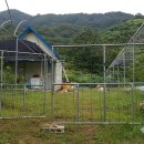 전씨농장 이미지