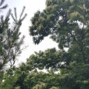 아름도담길 이미지