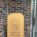 파파스 그라운드 | 광주서구애견카페 파파스그라운드 I 사진보다 백배 좋았던 [내돈내산]