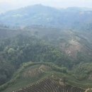 동방농장 이미지